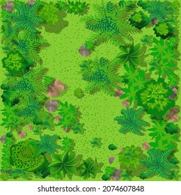 Top view of the countryside with forest, grass with stones and trees