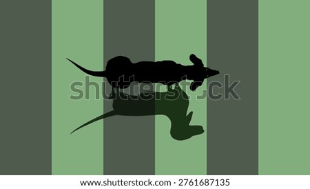 top view of a dachshund, flat color vector illustration