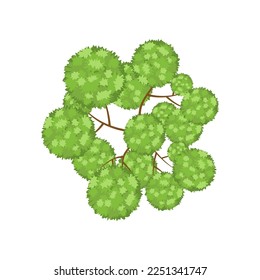 Top view of deciduous forest vector illustration. Plant element for garden, forest or park plan or map isolated on white background. Ecology, landscape design concept