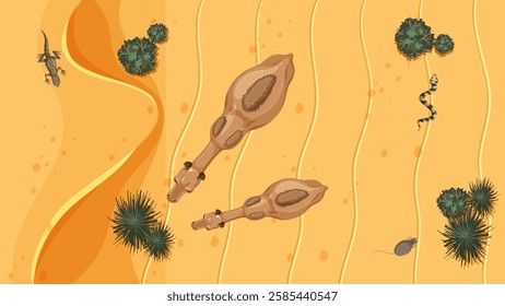 Top view of desert animals and plants