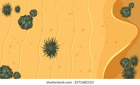 Top view of desert with cacti and sand dunes