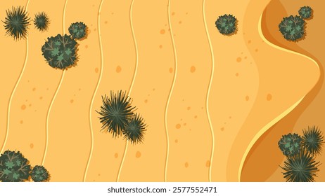 Top view of desert with scattered green plants