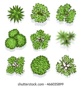 Top view different plants and trees vector set for architectural or landscape design