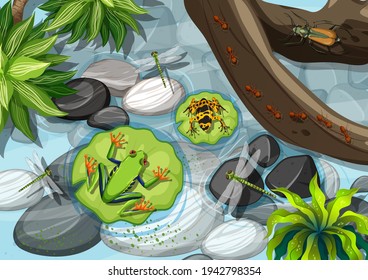 Top view of different types of frog in the rainforest illustration