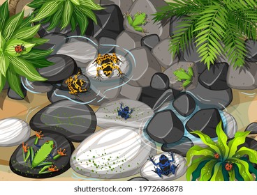 Top view of different types of frog in the rainforest illustration