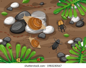 Top view of different types of insect in the garden illustration