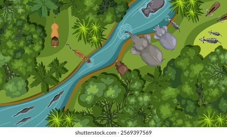 Top view of diverse animals in a jungle