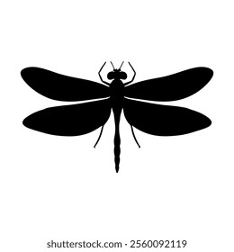 Top view dragonfly flying silhouette vector illustration design on white background.