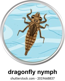 Top view of dragonfly nymph on the water illustration