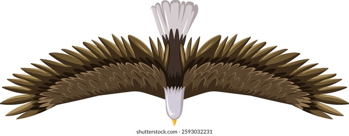 Top view of an eagle in flight