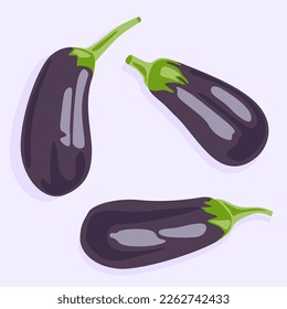 Top view of eggplants of different shapes and sizes. Useful vegetables. Diet food. Natural product.