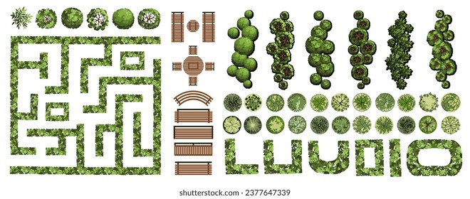 Elementos de vista superior para el plan de diseño de paisaje. Árboles y bancos para los planos arquitectónicos. Jardín de mazorca. Varios árboles, arbustos y arbustos. Ilustración vectorial.