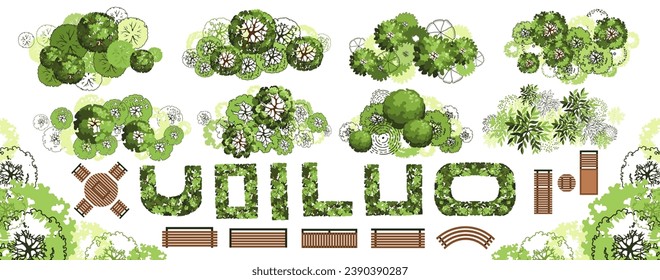 Top view elements for the landscape design plan. Trees and benches for architectural floor plans. Entourage design. Various trees, bushes, and shrubs. Vector illustration.