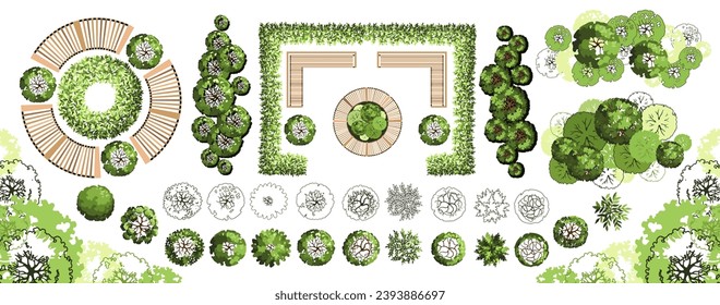 Top view elements for the landscape design plan. Trees and benches for architectural floor plans. Entourage design. Various trees, bushes, and shrubs. Vector illustration.