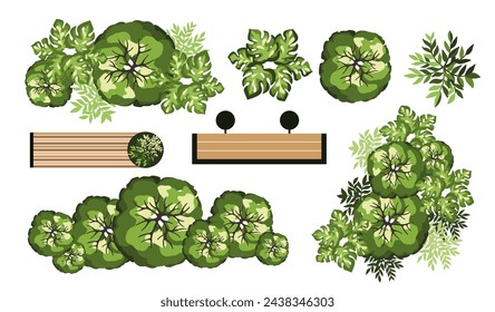 Top view elements for the landscape design plan. Trees and benches for architectural floor plans. Entourage design. Various trees, bushes, and shrubs. Vector illustration.