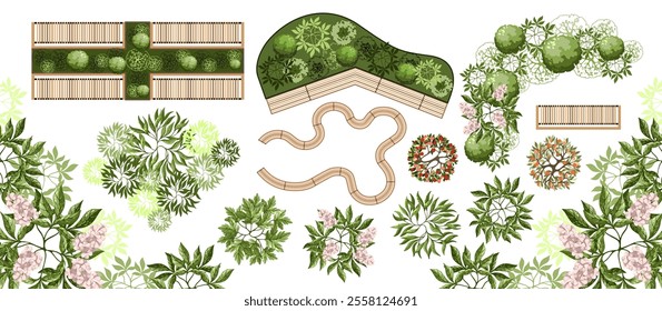 Top view elements for the landscape design plan. Trees and benches for architectural floor plans. Entourage design. Various trees, bushes, and shrubs. Vector illustration.