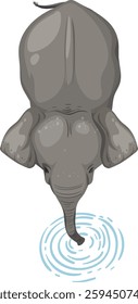 Top view of an elephant at a waterhole