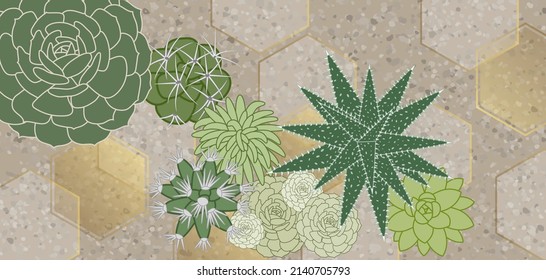 Top view exotic garden with various succulents and cacti on a gravel background decorated with hexagon shapes. 