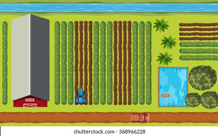 Top view of farmland with crops illustration