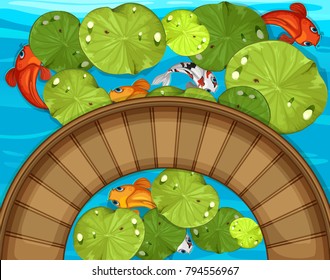 Top view of fish and waterlily in the pond illustration