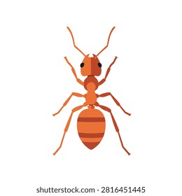 Top View Flat Vector Illustration of a Red Worker Ant Isolated on Plain White Background
