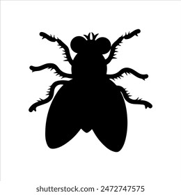 Top view fly silhouette isolated on white background. Fly icon vector illustration design.