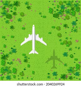 Vista superior de un avión volador y un bosque verde con árboles, hierba y arbustos. Ilustración natural de la naturaleza.