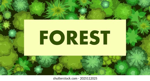 Top view of the forest landscape from a height. Green summer scenery with trees. Seamless illustration in flat style. Cartoon design. Vector.