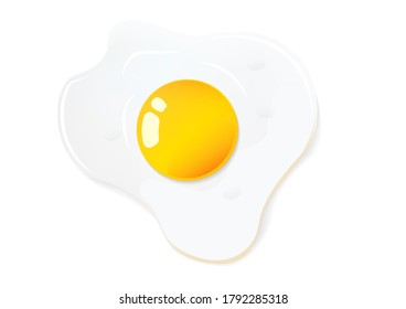 Top view of fried egg isolated on white background. Vector illustrations.