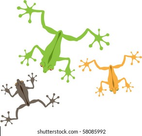 Top View of Frogs vector design