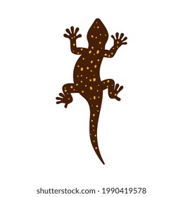 Top view of gecko or salamander lizard with ornament on back, flat vector illustration isolated on white background. Wildlife lizard reptile animal shape or icon.