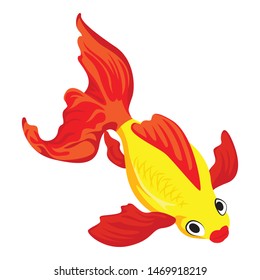 Top view goldfish icon. Cartoon of top view goldfish vector icon for web design isolated on white background