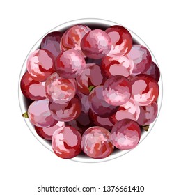 Top view of grapes in a plate vector illustration