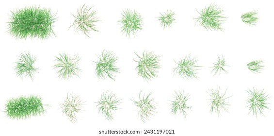 Top view of grass with flowers isolated on white background, 3d rendered