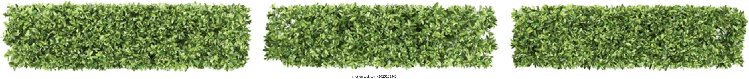 From top view of Grecian bay Trees collection with realistic style