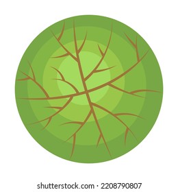 Vista superior, vegetación, parque, bosque, plantas de jardín aisladas en blanco. Ilustración vectorial para el paisaje, la naturaleza, el concepto de ecología. Corona de árbol