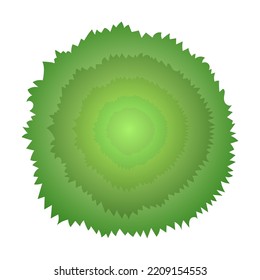 Top view, green foliage, park, forest, garden plants isolated on white. Vector illustration for landscape. Tree crown