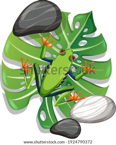 Top view of a green frog on monstera leaf isolated illustration