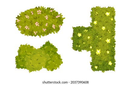 Vista superior de los coberturas verdes de diferentes formas. Elementos decorativos de parque y jardín, diseño de paisaje de verano cartografía vectorial ilustración