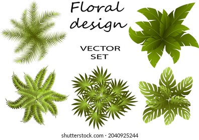 Top view of green leaves.Colored vector illustration with bushes from leaves on a white background.