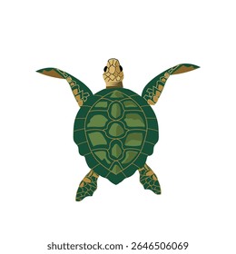 Top View Green Sea Turtle Vector  Tortuga Marina Marine Life Illustration Detailed Shell Pattern and Ocean Wildlife Seen From Above