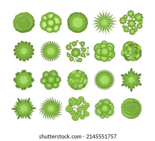 Top view of green trees and bushes vector illustrations set. Plant elements for garden, forest or park plan or map from birdseye view isolated on white background. Ecology, landscape design concept