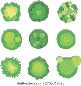 Top View Green Trees and Bushes Collection