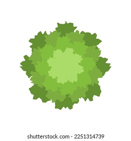 Vista superior de la ilustración del vector de treetop verde. Elemento vegetal para jardín, plan forestal o de parque o mapa aislado en fondo blanco. Ecología, concepto de diseño paisajístico