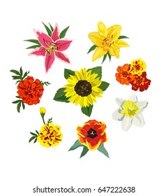 Top view hand drawn flowers collection. Vector illustration flowers set isolated on white background for design