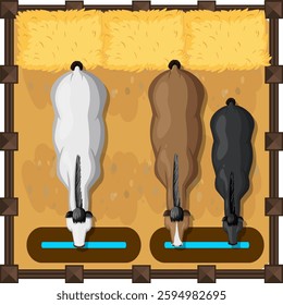 Top view of horses eating hay in stalls