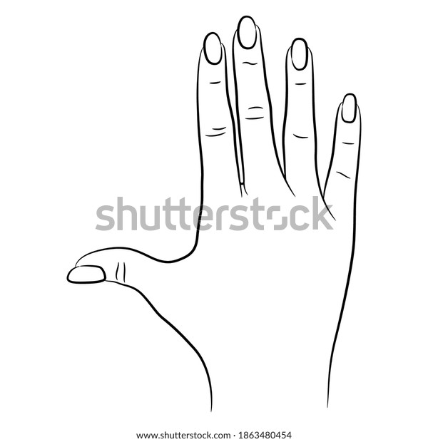 Top View Human Female Hand Black Stock Vector (Royalty Free) 1863480454 ...