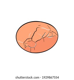 Top view, Illustration with broken chicken egg and empty space isolated on a white background. Easter holiday concept. Vector