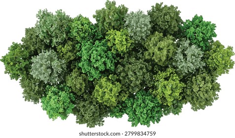 Top view illustration of dense forest tree canopies featuring varied shades of green foliage and natural vegetation. Ideal for landscape plans, map design, environmental projects, game assets, and nature-themed visualizations.
