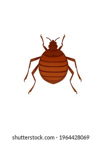 Top View Illustration On Bed Bug Cartoon Bloodsucking Insect Design Vector Illustration Isolated On White Background